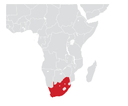 Afrika haritası üzerinde Güney Afrika Cumhuriyeti'nin konumu